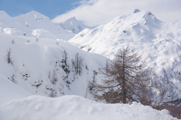 Fototapeta premium winter in mountains
