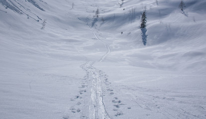 Backcountry ski tracks