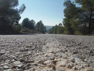 carretera cogul