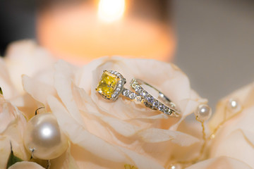 wedding rings on white rose