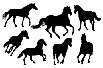 Adult race horses silhouettes set on white background