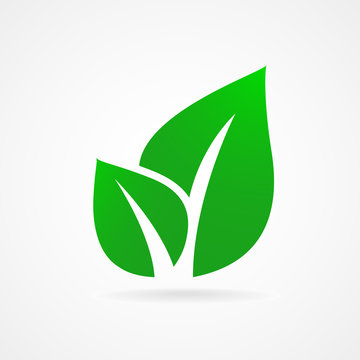 Eco icon green leaf illustration isolated