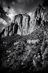 Black and White Vertical Landscape in Zion National Park