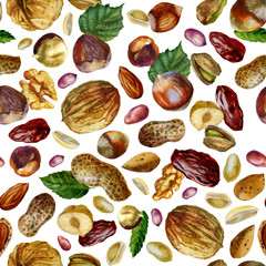 Watercolor illustration, walnut pattern. 