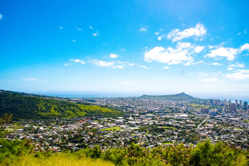 Fototapeta premium Honolulu Panoramic View