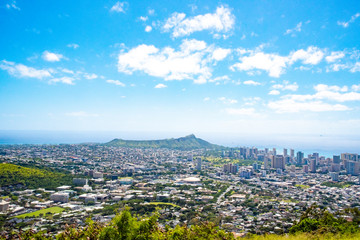 Honolulu Panoramic View