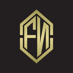 FN Logo monogram with hexagon shape and outline slice style with gold colors