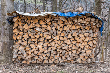  between two trees there is a stack of chopped wood covered with a tarpaulin