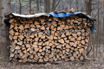  between two trees there is a stack of chopped wood covered with a tarpaulin