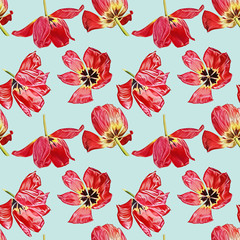 Tulips seamless pattern. Watercolor illustration. Hand painted background.