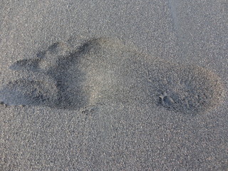 footprints in the sand