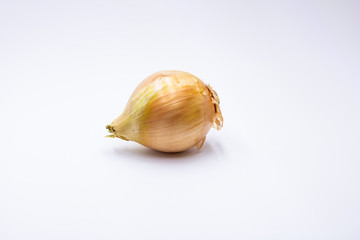 One onion on a white background