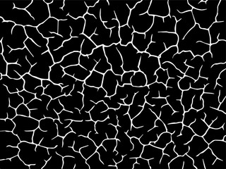 Fototapeta premium The cracks texture white and black. Vector background.Cracked earth. Structure of cracking. Cracks in dry surface soil texture. shards