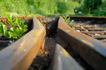 Nahaufnahme von  Gleisen, Schienen mit Unkraut im Industriegebiet Ruhrgebiet, Ruhrpot