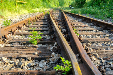 rostige Gleise, Schienen, Weichen und Unkraut im Industriegebiet Ruhrgebiet, Ruhrpot