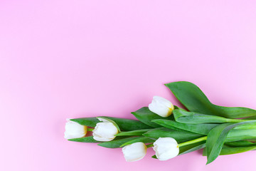Obraz na płótnie Canvas Tulip bouquet. Top view.