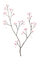 Hand Drawn Watercolor Branch with Pink flowers