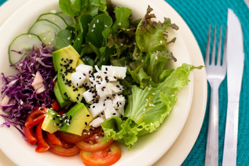 Prato de salada com alface abacate agrião repolho roxo tomate pimentão vermelho pepino e palmito