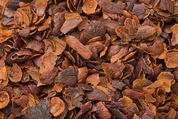 Dried Coffee Fruit