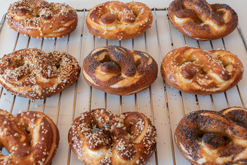 Homemade pretzels with sesame,poppy seed and salt