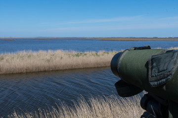 Spotting scope on the beach birding - 325431976