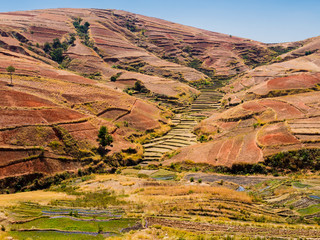 Rolling hills with terraced rice paddy fields in the highlands of Madagascar