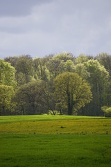 Fototapeta premium Baumleuchten