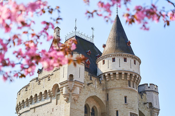 Spring in Brussels. View of the Halle Gate, medieval fortified city gate, through blooming trees.