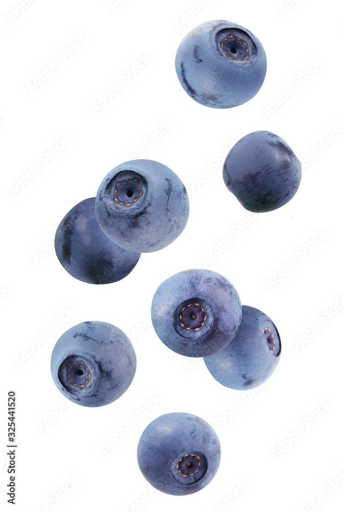 Poster falling blueberries isolated on white background with a clipping path.