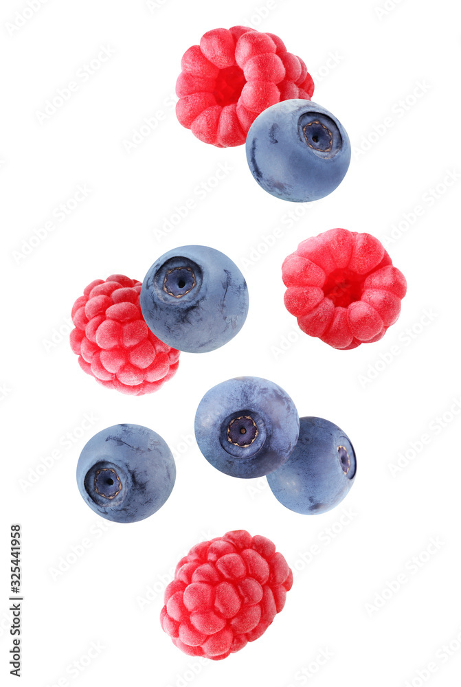 Poster falling blueberries and raspberries isolated on white background with a clipping path.