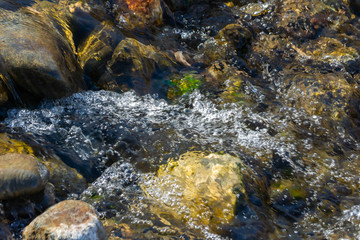小川の石と泡