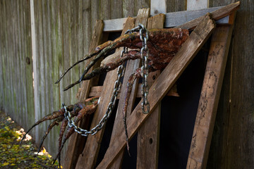 Hay, Hooves and Halloween