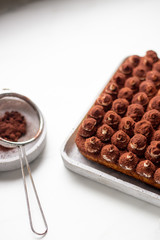 Fresh Tiramisu Cake on the white table, with copy space