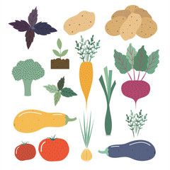 Set of vegetables in a flat style
