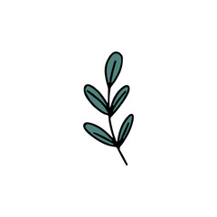 Hand drawn green leaf flat vector icon isolated on a white background.