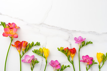 Flowers composition. Yellow, red, white flowers of Freesia on marble background. Spring, 8 of march, woman day, mothers day, easter concept. Flat lay, top view, copy space.