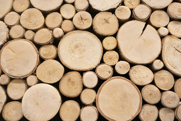 Round Timber. Wallpaper wood log. Building materials