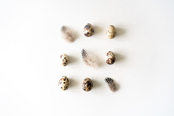 Natural healthy food and organic farming, easter, spring concept.