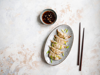Chinese traditional dumplings - gyoza with pork and vegetables on an oval plate with soy sauce in a...