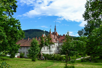 Fototapeta na wymiar Palace of Counts Schonborn, Carpathian village, Ukraine