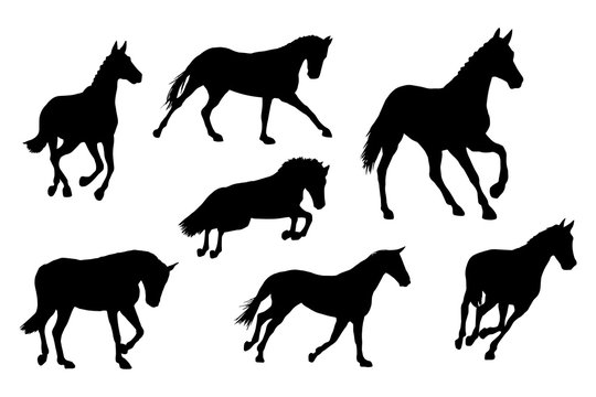 Race horses silhouettes set on white background