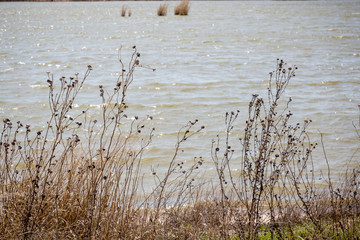 Quivera National Wildlife Refuge