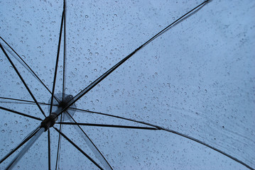 Raindrops Falling on Transparent Umbrella