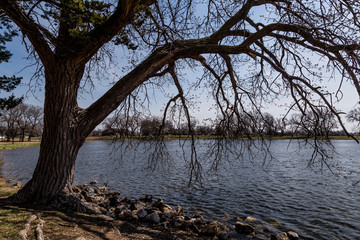 Sterling Lake and Park