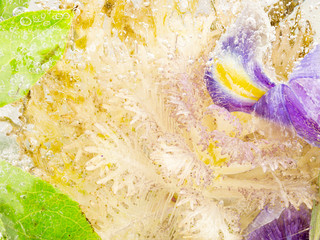 frozen abstraction with decorative cabbage - 325455341