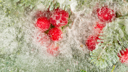 red berries and needles froze - 325455520