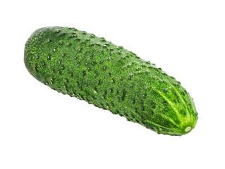 Cucumber isolated on white background with clipping path