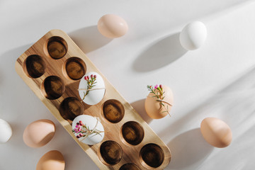 Natural Colored Eggs in wooden egg box and flowers with sunlights. Stylish Compositions in pastel colors.  Eco concept.