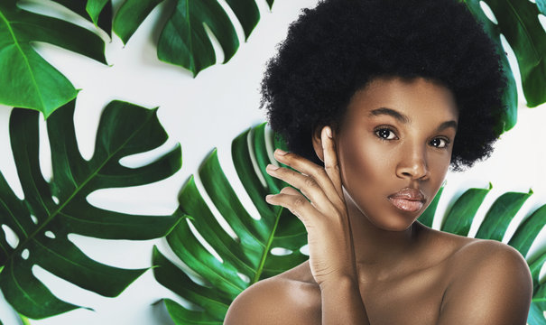 Young And Beautiful African Woman With Perfect Smooth Skin In Tropical Leaves