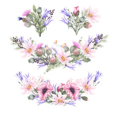 Fototapeta na wymiar Set of watercolor illustrations of wildflowers: chamomile, poppy, thistle, bell and herbs. Elements are isolated on a white background. Design for printing on cards, invitations, textiles, fabric and 